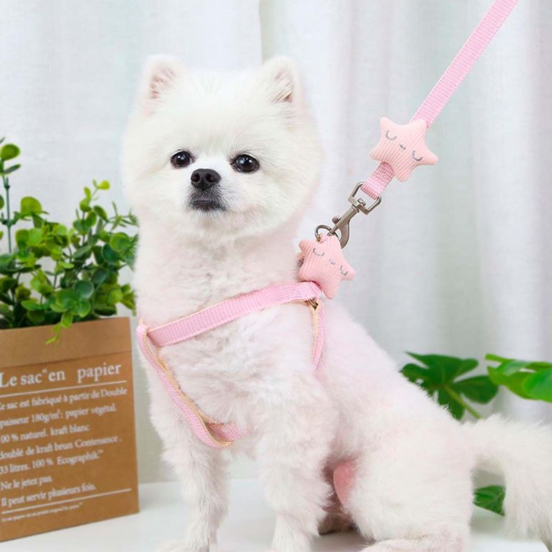 Arnes Pechera Transpirable + Correa Rosa Gatos Perros Mascotas-1
