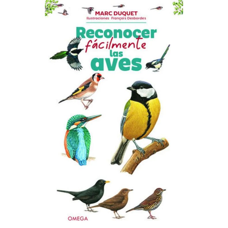 Reconocer Facilmente Las Aves Blanco