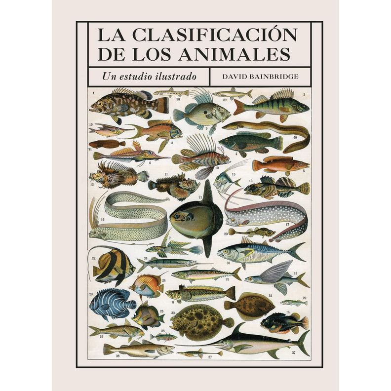 La Clasificacion De Los Animales Blanco