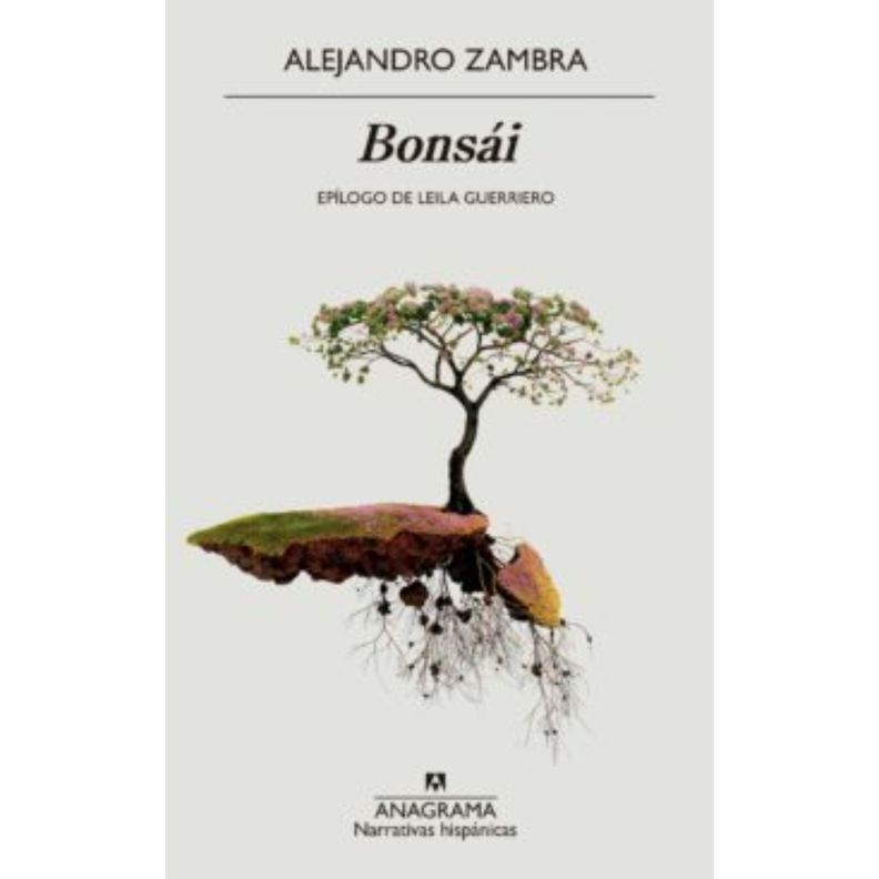 Bonsai Blanco