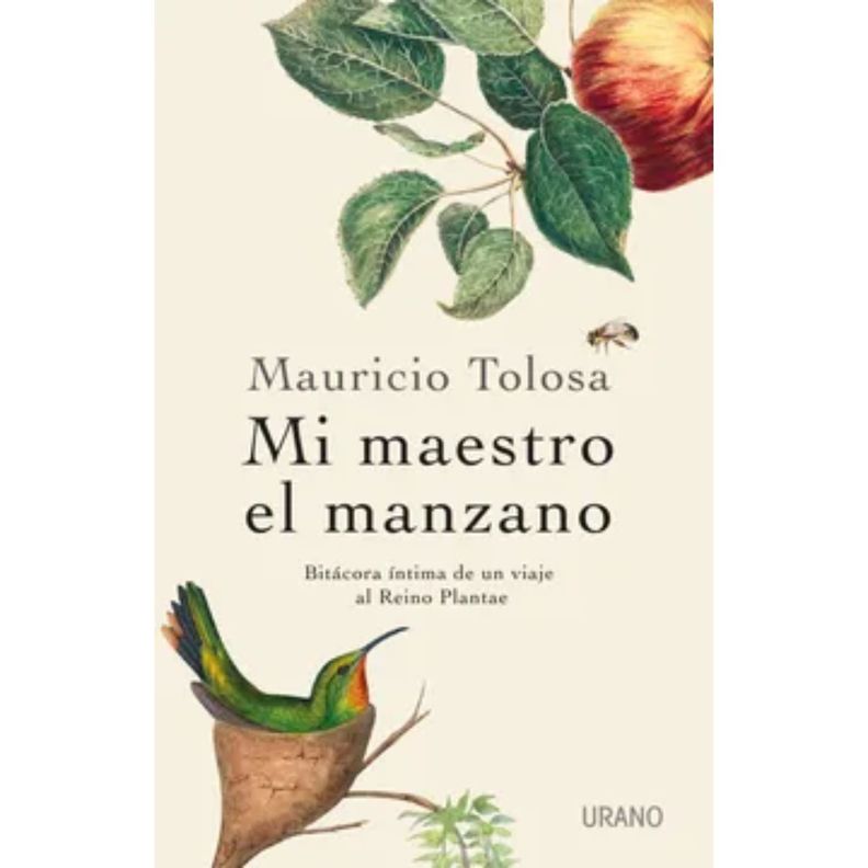 Mi Maestro El Manzano (Chi) Blanco