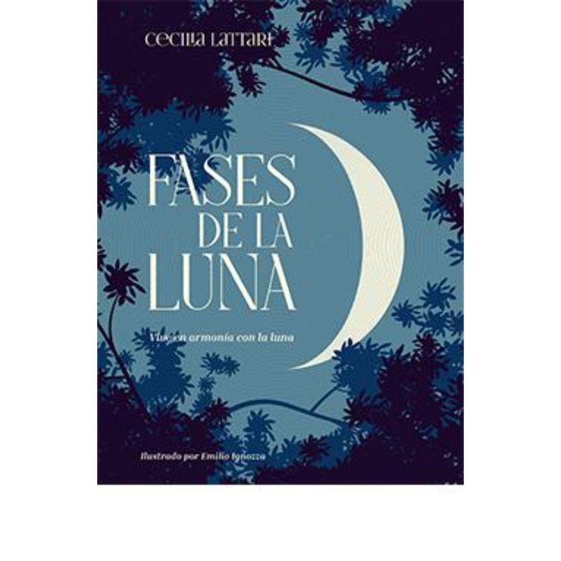 Fases De La Luna Blanco