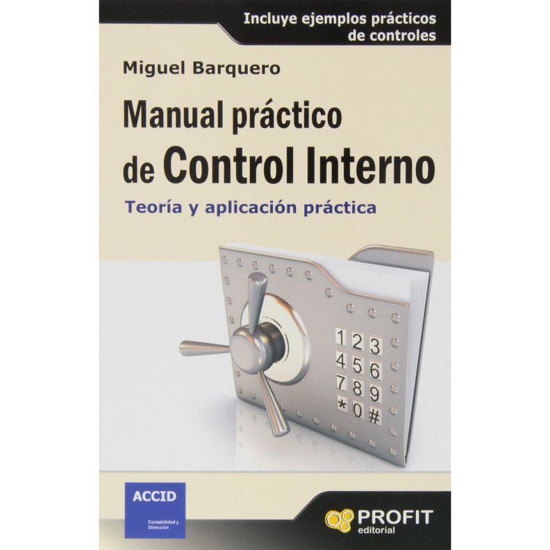 Manual Practico De Control Interno Blanco