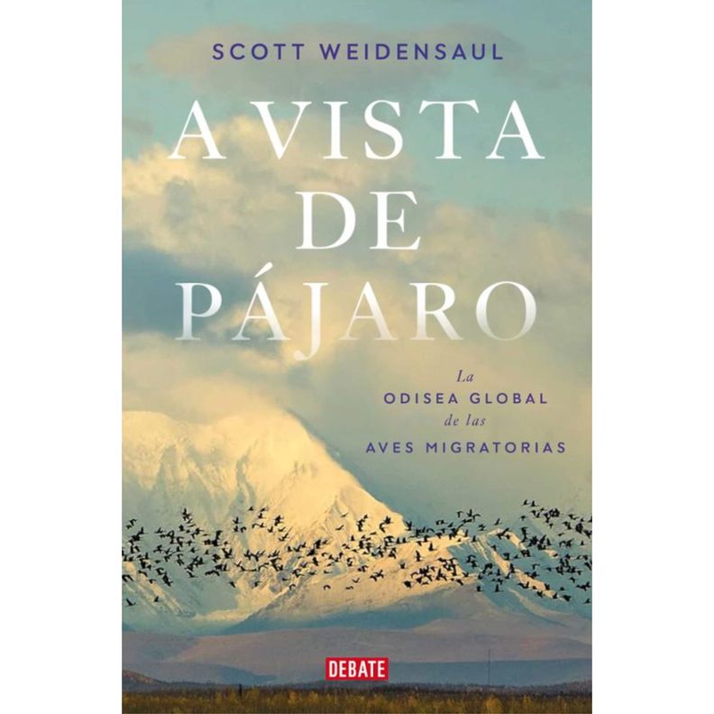 A Vista De Pajaro Blanco