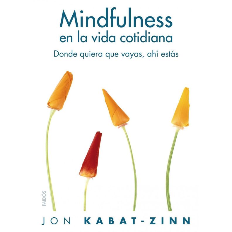 Mindfulness En La Vida Cotidia Na
