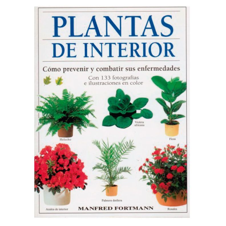 Plantas De Interior Blanco