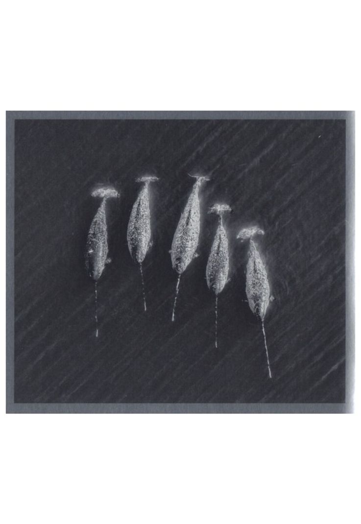 PEARL JAM - GIGATON (DIGIPACK) | CD-8