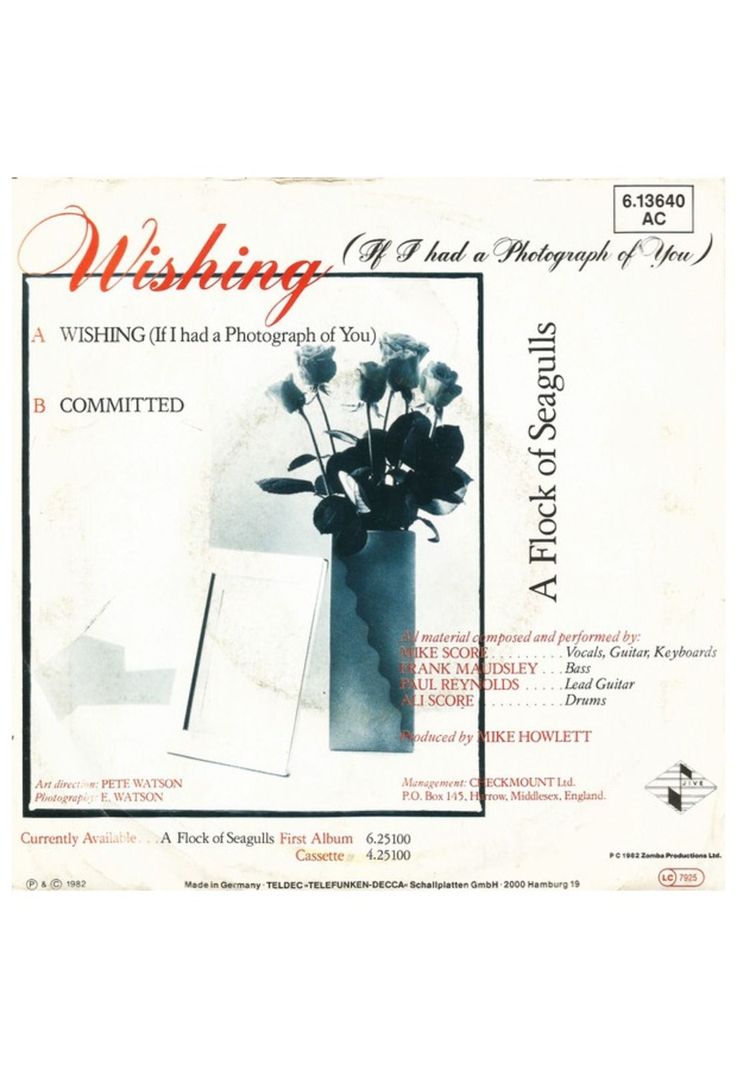 A FLOCK OF SEAGULLS - WISHING | 7'' SINGLE VINILO USADO-1
