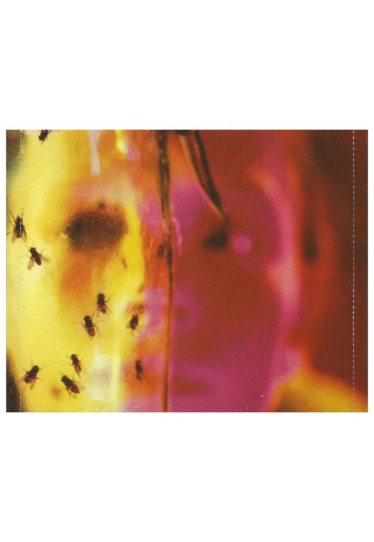 ALICE IN CHAINS - JAR OF FLIES | CD-4