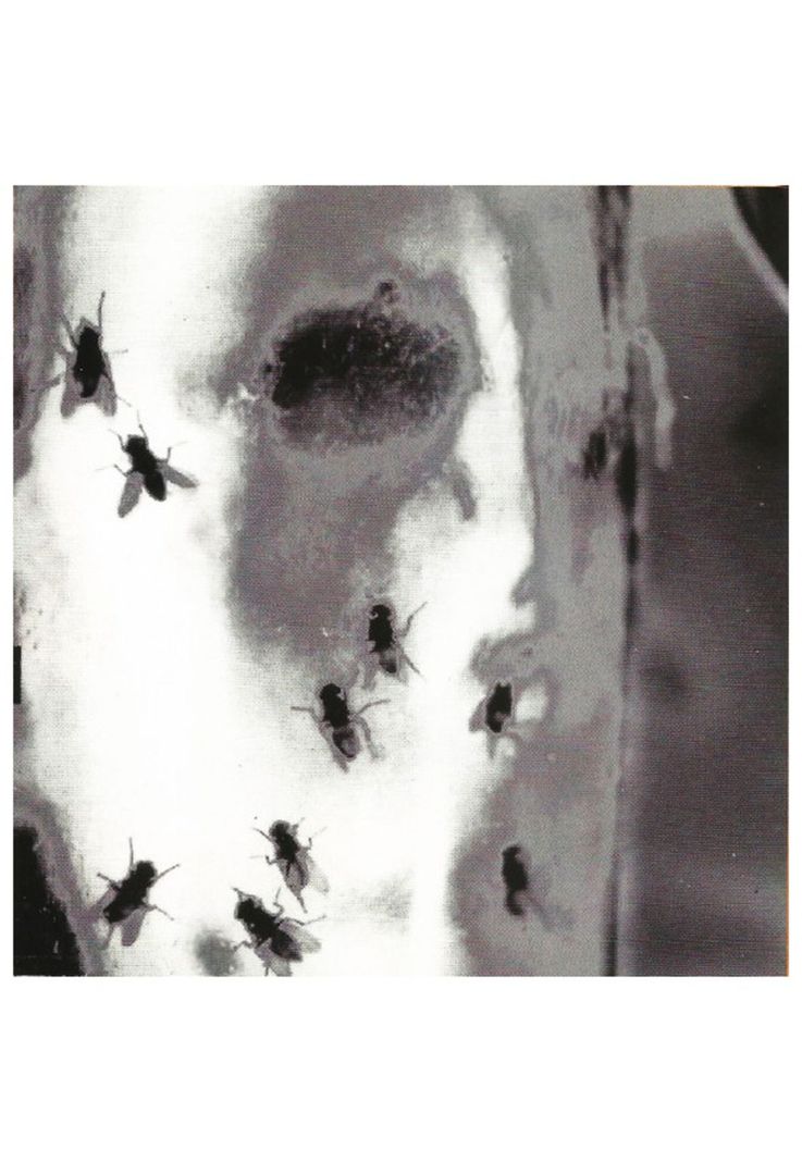 ALICE IN CHAINS - JAR OF FLIES | CD-9