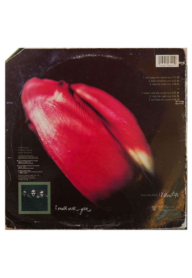 MODERN ENGLISH - I MELT WITH YOU | 12" MAXI SINGLE USADO-1