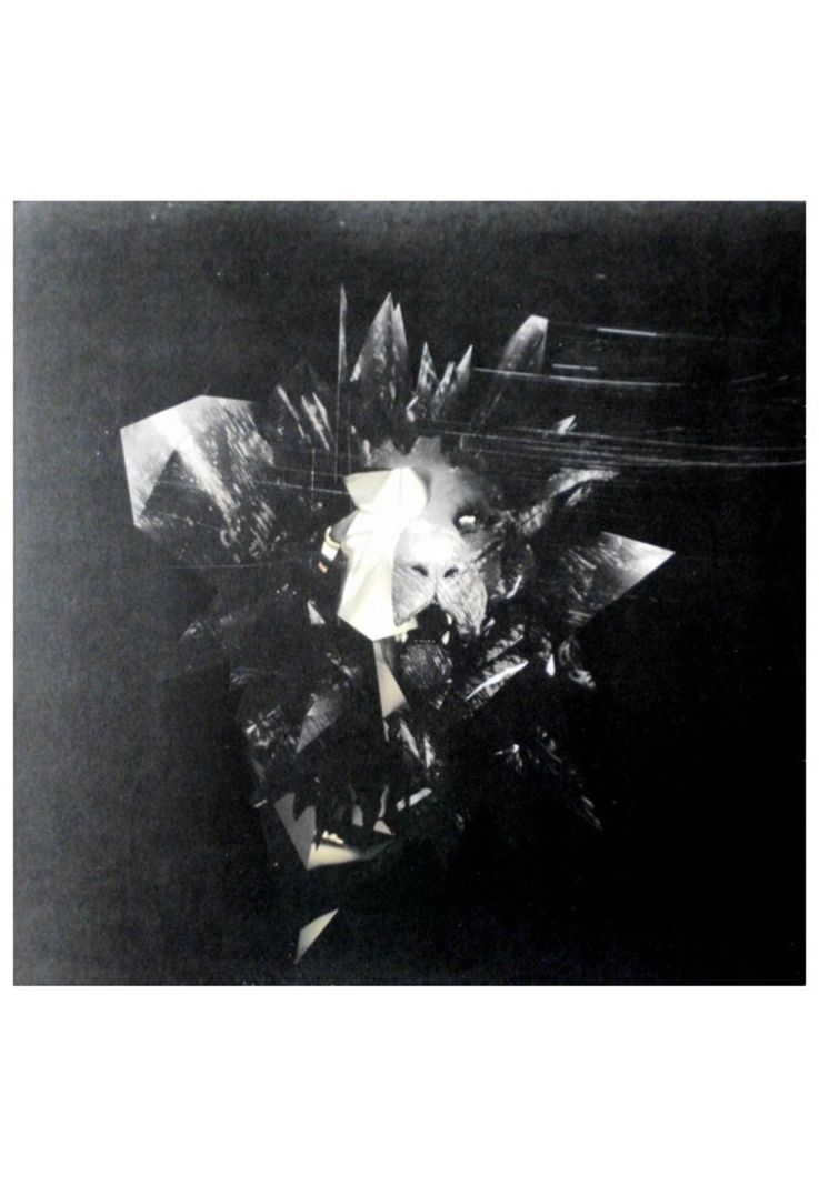 LINKIN PARK - LIVING THINGS | VINILO-1