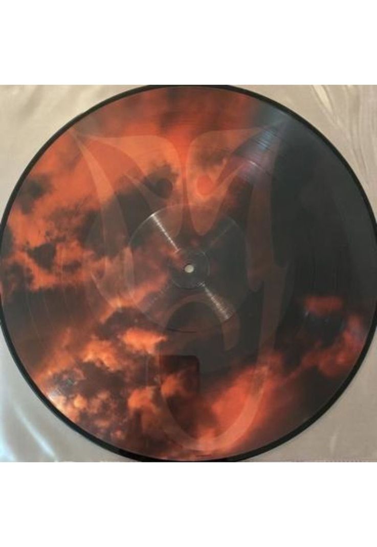 MICHAEL JACKSON - HISTORY CONTINUES (PICTURE DISC) (2LP) | VINILO-2