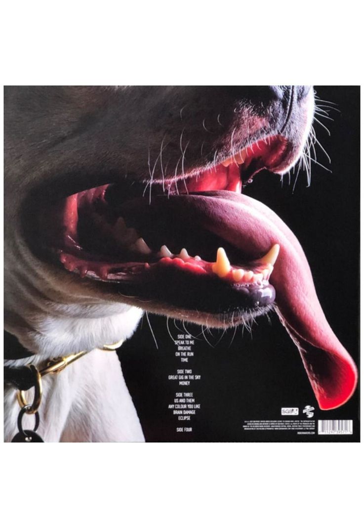 ROGER WATER - DARK SIDE OF THE MOON REDUX (2LP) | VINILO-5