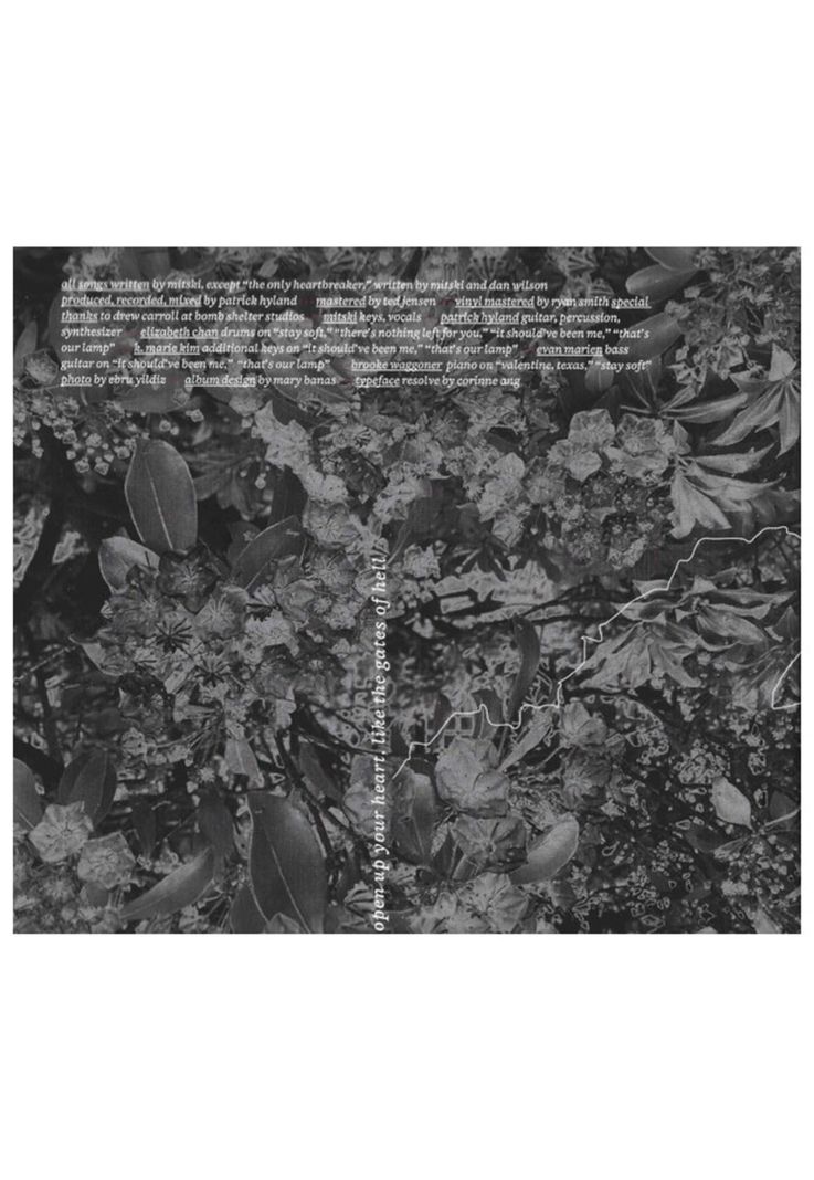 MITSKI - LAUREL HELL (DIGIPACK) | CD-6
