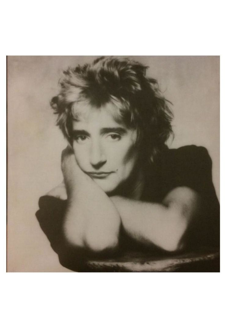 ROD STEWART - GREATEST HITS | VINILO-4