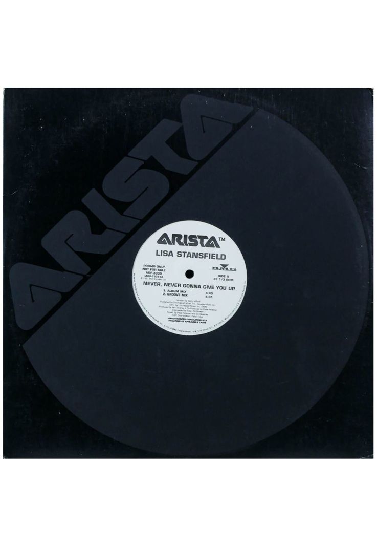 LISA STANSFIELD - NEVER NEVER GONNA GIVE YOU UP 12 MAXI SINGLE VINILO USADO Diseno 2