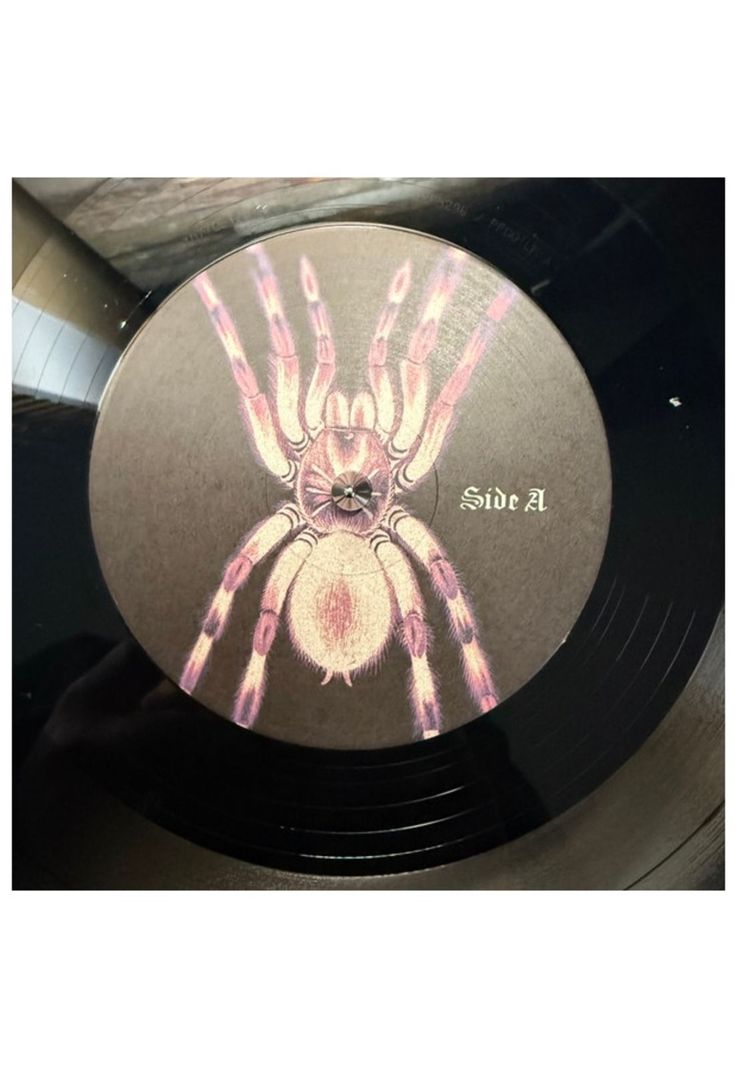 PESO PLUMA - GENESIS (2LP) | VINILO-2