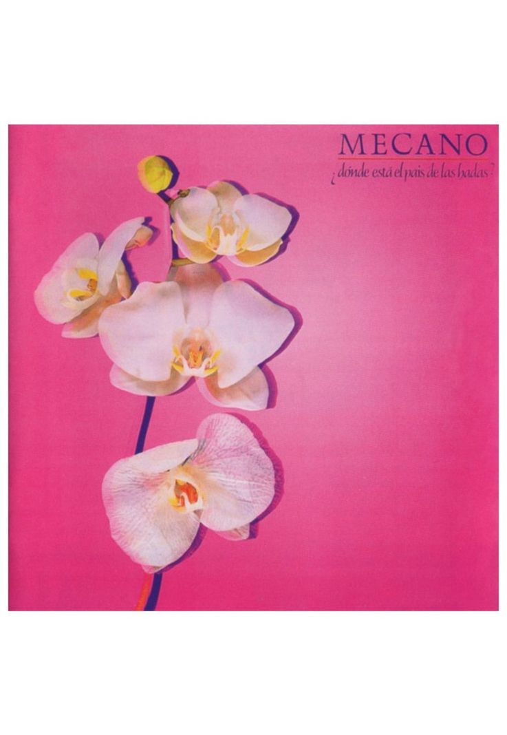 MECANO - DONDE ESTA EL PAIS DE LAS HADAS | CD ABIERTO