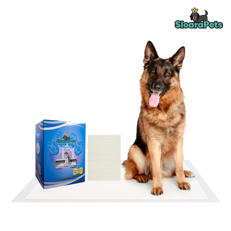 30 Sabanillas Pañales De Entrenamiento Perros Grande 90x60cm-1