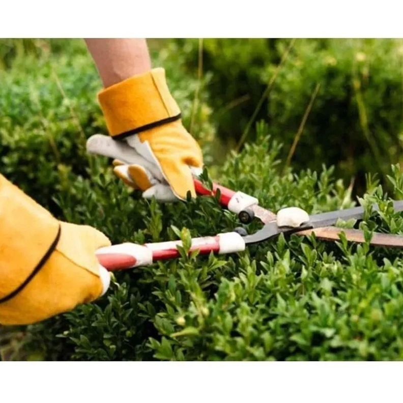 Tijera Corta Pasto Arbusto Jardín 22 PulG Total-2