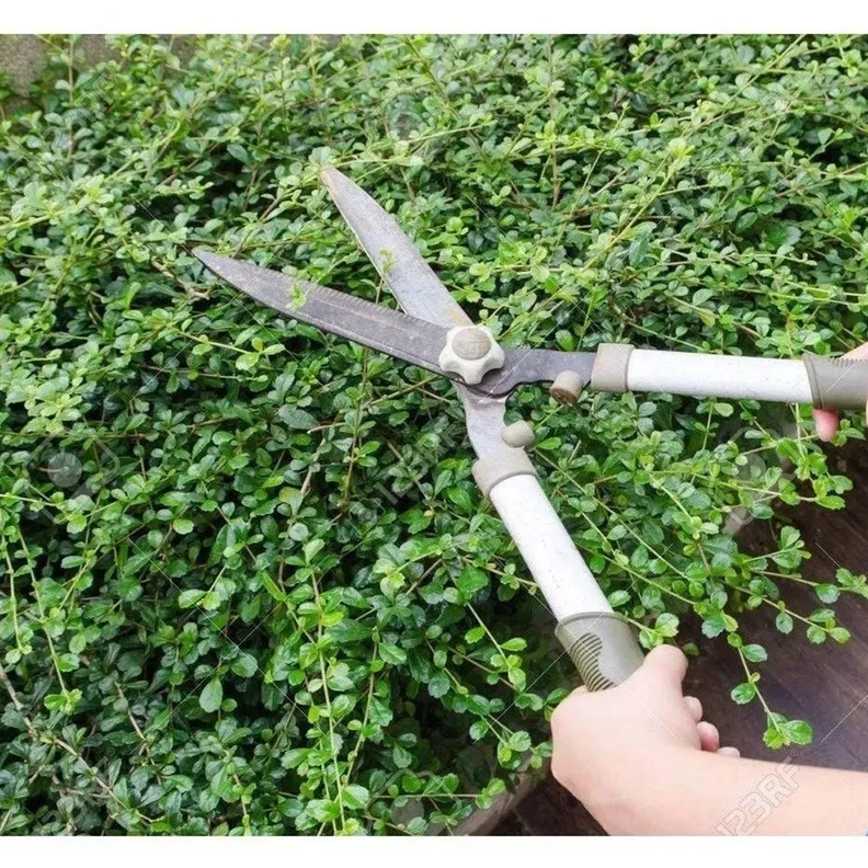 Tijera Corta Pasto Arbusto Jardín 22 PulG Total-3