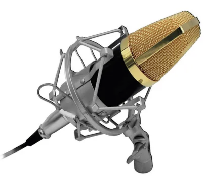 MICROFONO CONDENSADOR HOME STUDIO AUDIO PRO-1