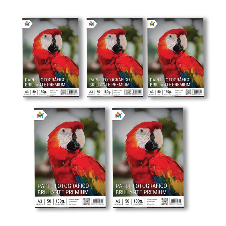 Pack 5 Papel Foto Brillante A3 - 250 Hojas 5760 Dpi Luxury