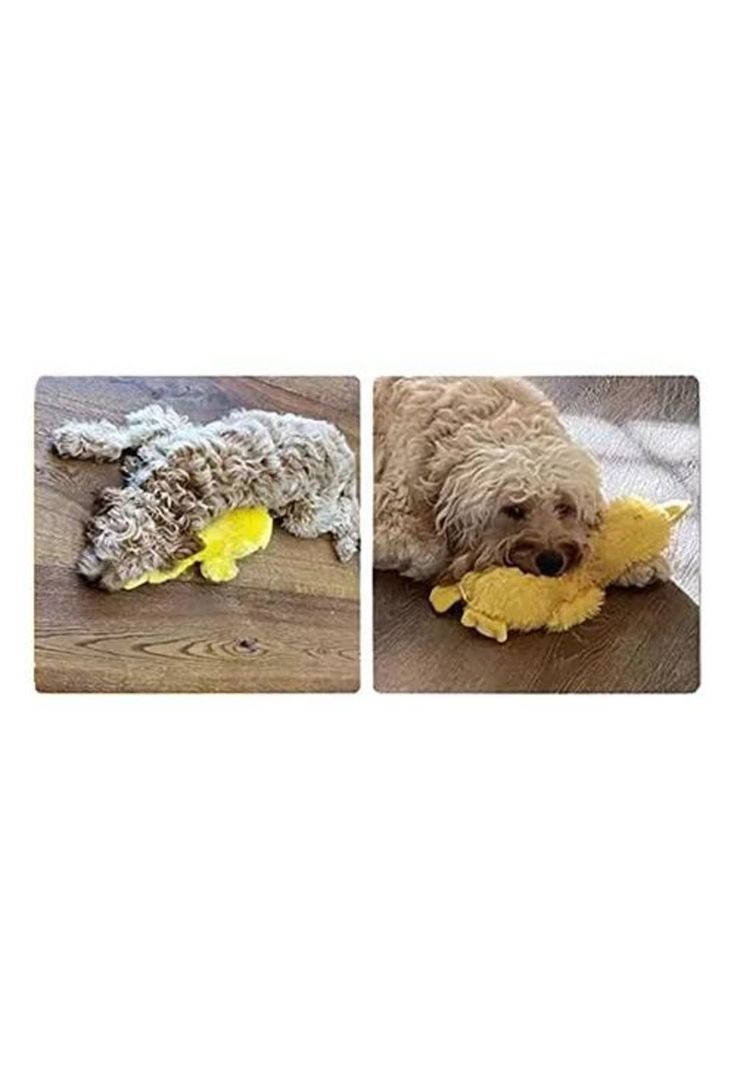Pato de Peluche para Perros - Mascota con Sonido Color Amarillo-3