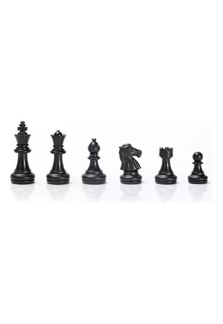 Ajedrez imantado Magnific Fantastic Chess-4