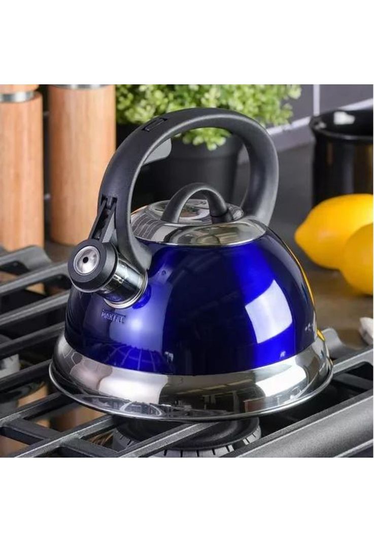 Tetera Silvante - 3.2 L, de Acero Inoxidable, Colores, Con Mango-4