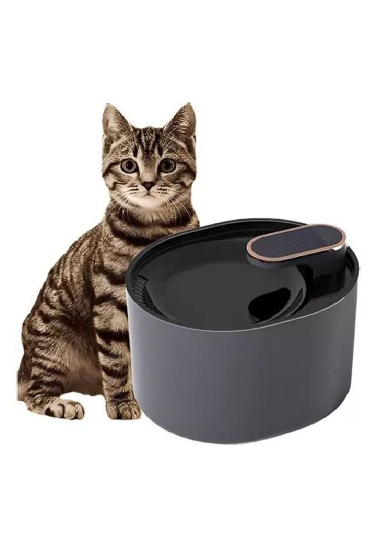 Fuente Bebedero de Agua Roro - Para Perros, Pileta, 3 Litros, Color Negro-1