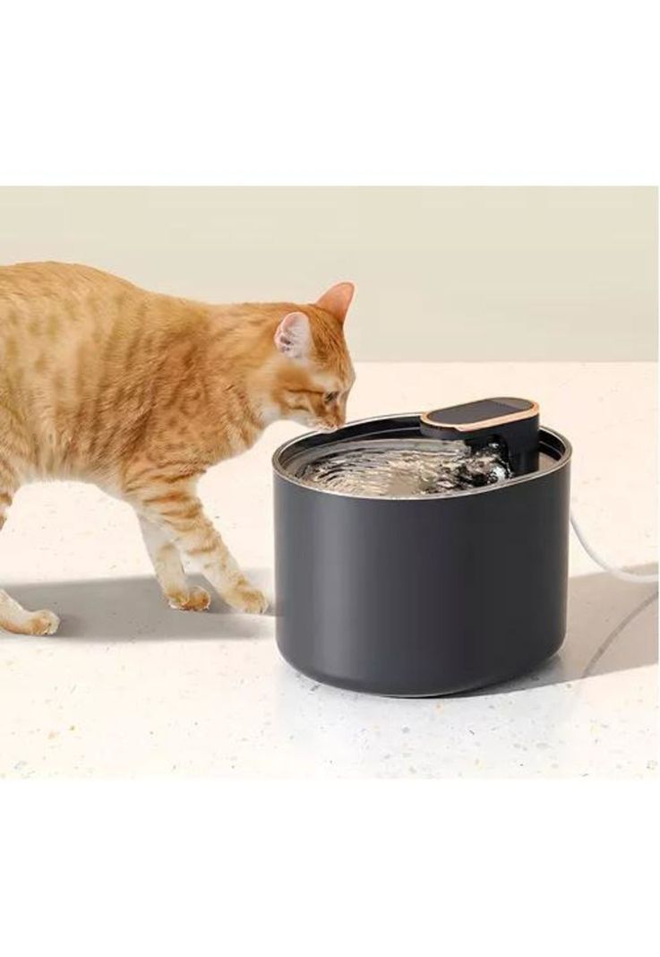 Fuente Bebedero de Agua Roro - Para Perros, Pileta, 3 Litros, Color Negro-3