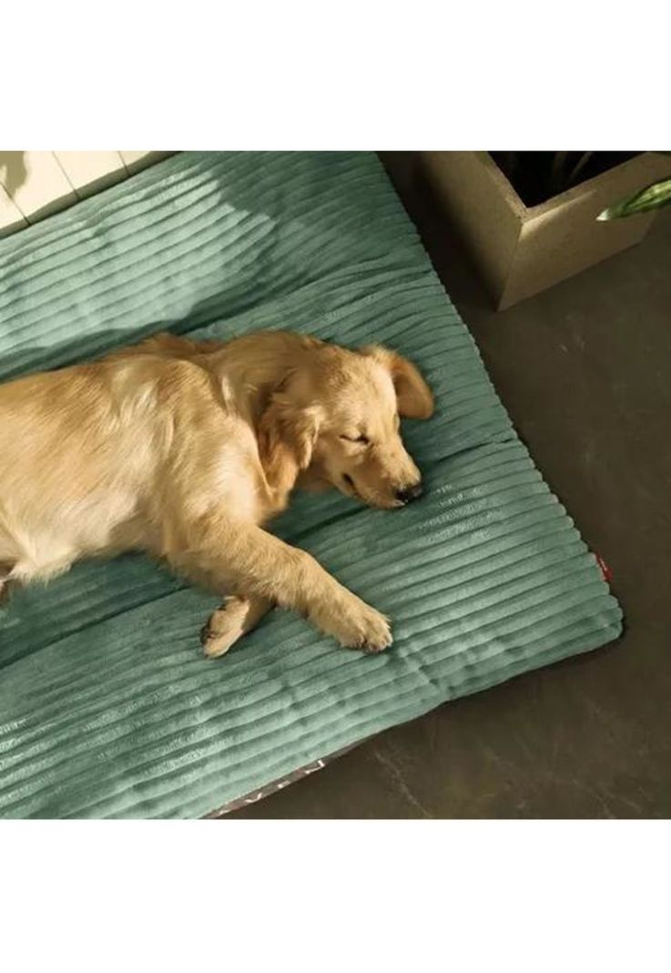 Cama ortopédica antiestrés premium 110 cm para perros verde-3