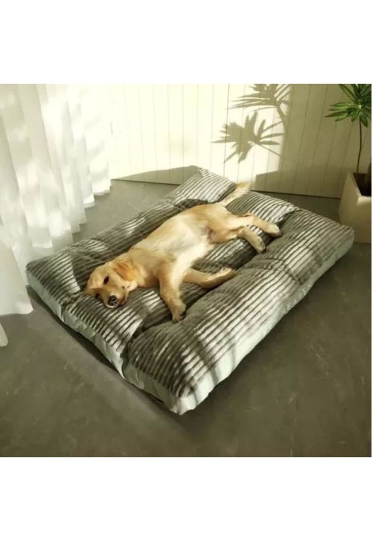Cama ortopédica antiestrés premium 110 cm para perros verde-6