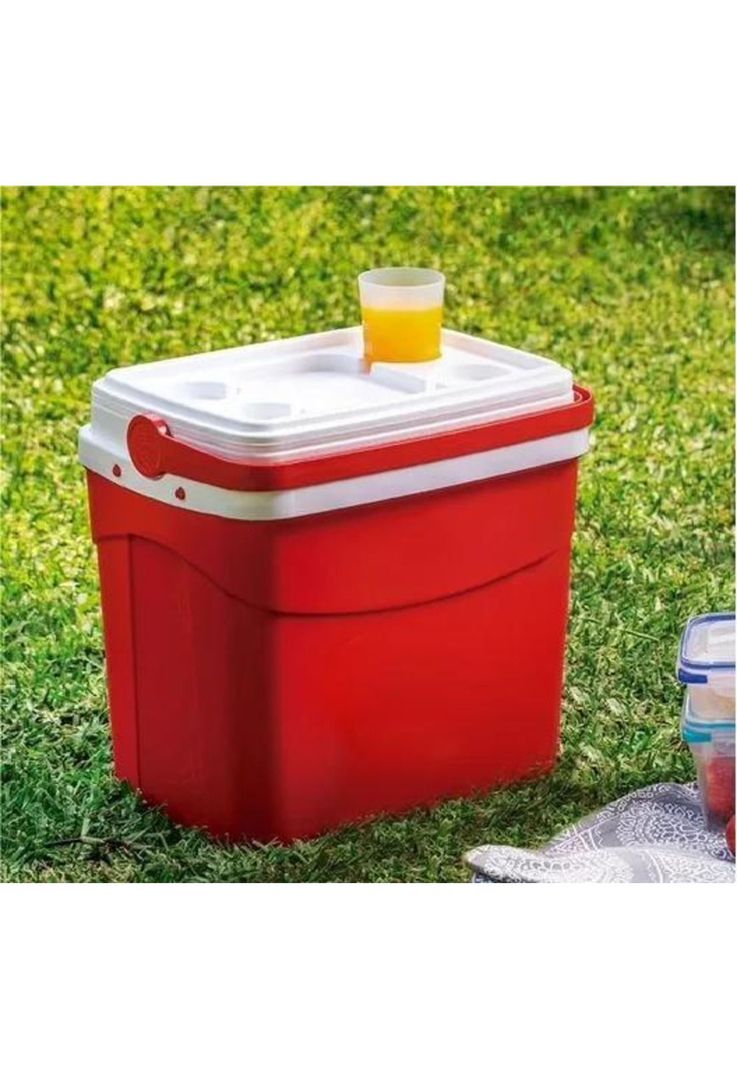 Cooler Nevera Ratan - 35 Lts-3