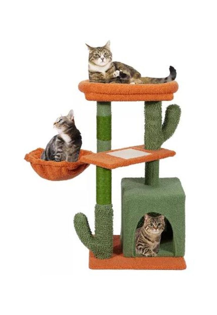Torre arbol rascador gatos poste michi cactus verde-0