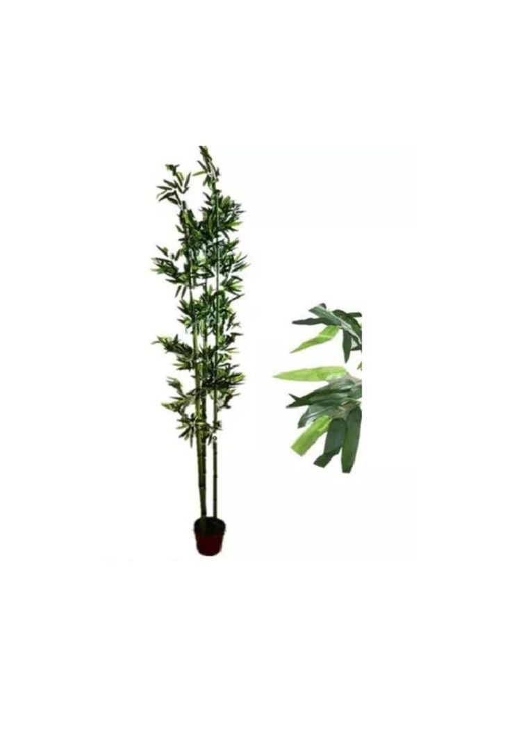 Planta Artificial Bambú 120cm Maceta Redonda Café 3 Varas-1