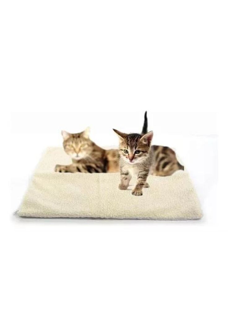 Cama térmica para mascotas perros y gatos crema-2