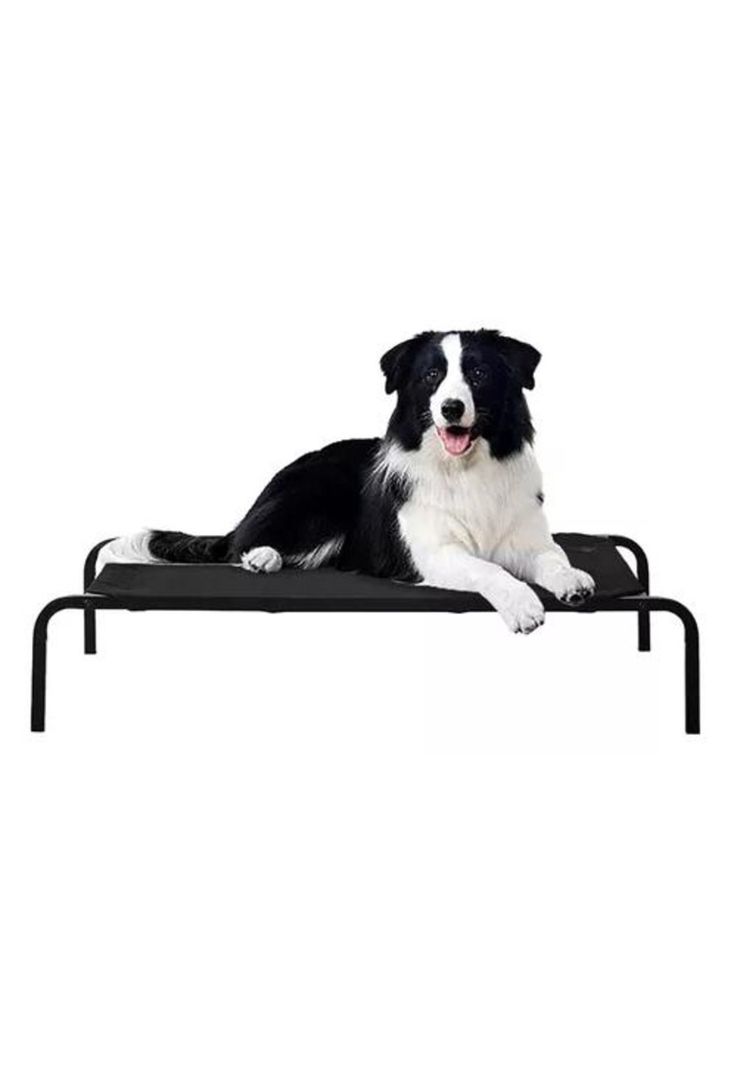 Cama elevada para perro y gato refrescante negro-0