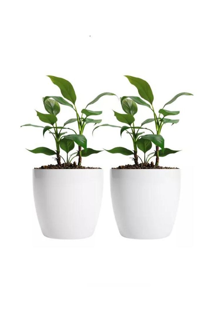 Maceteros Plástico 20x22cm Amalfi Pack 2 Unidades 5.3L Blanco-1