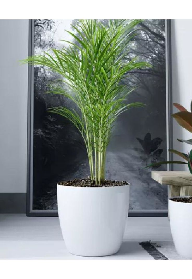 Maceteros Plástico 20x22cm Amalfi Pack 2 Unidades 5.3L Blanco-3