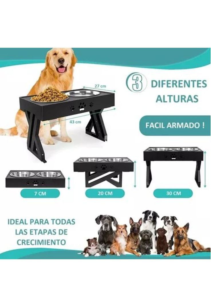 Bebedero Fuente Eléctrico para Mascotas Roro - Dispensador de Agua para Perros y Gatos-6