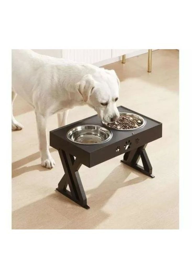 Bebedero Fuente Eléctrico para Mascotas Roro - Dispensador de Agua para Perros y Gatos-7