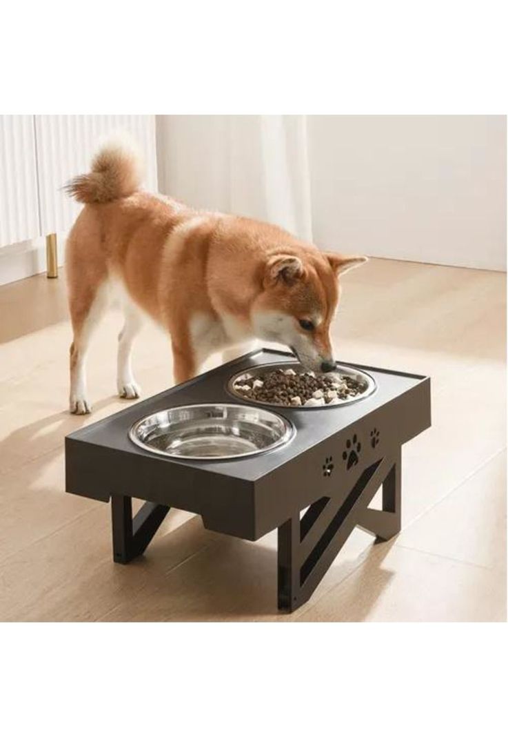 Bebedero Fuente Eléctrico para Mascotas Roro - Dispensador de Agua para Perros y Gatos-1