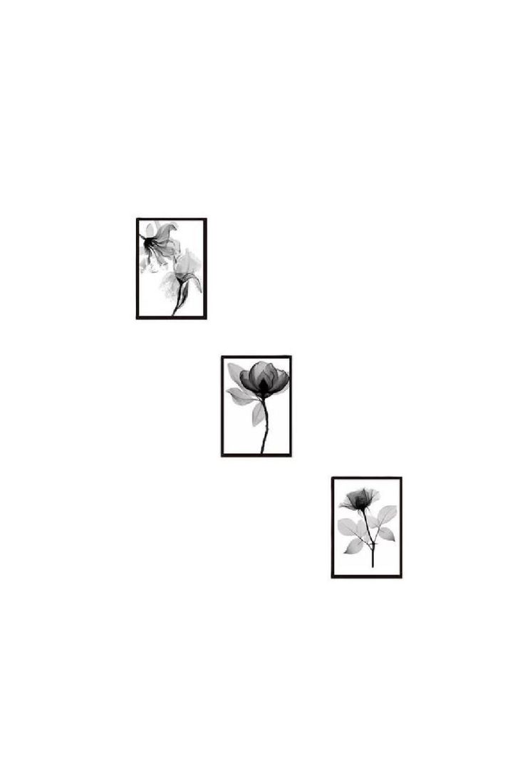 Cuadros rosas en blanco y negro, pack de 3 unidades, 35x50 cm-0