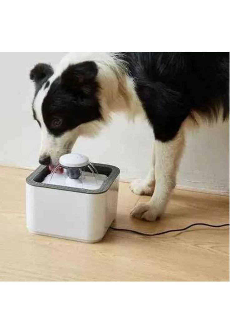 Fuente de Agua para Gatos y Perros - 2.5 Litros, 3 Modos, Color Gris-3