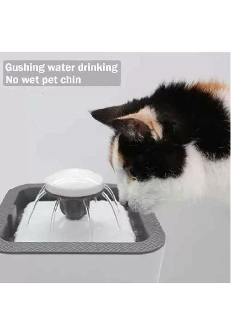 Fuente de Agua para Gatos y Perros - 2.5 Litros, 3 Modos, Color Gris-5