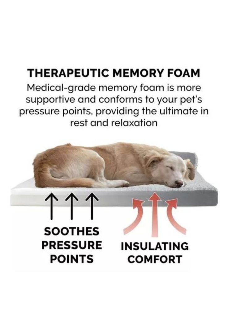 Cama ortopédica premium para mascotas XL memory foam-4