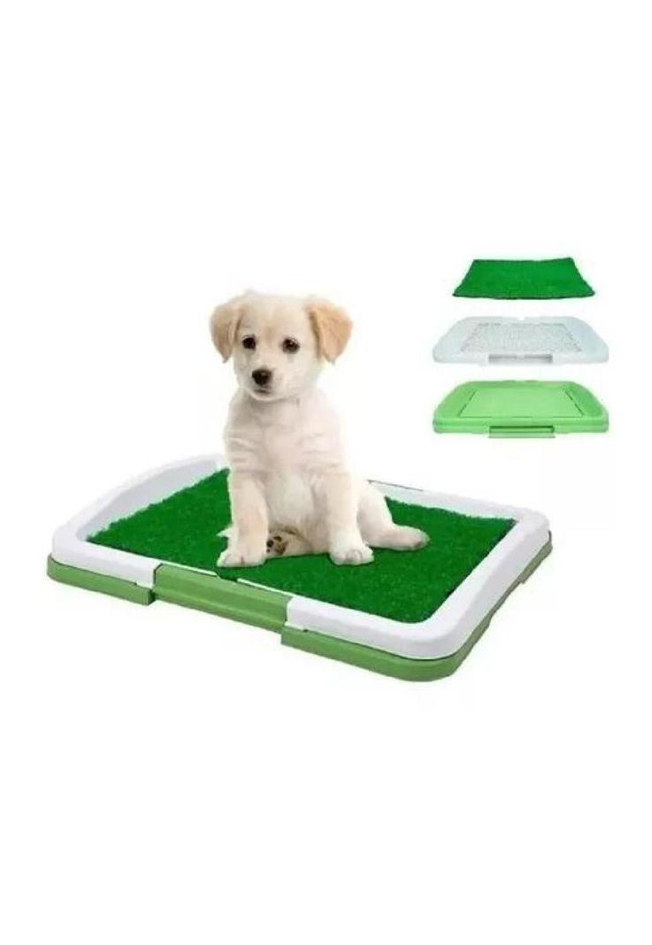 Baño ecológico para perros y mascotas-0